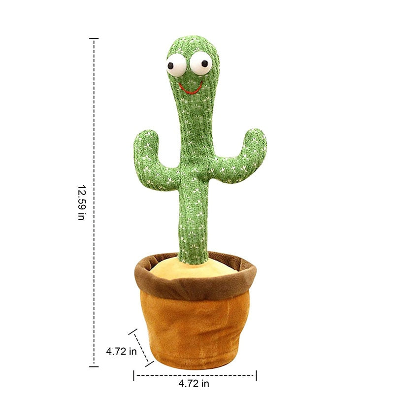 Baby Dancing Cactus
