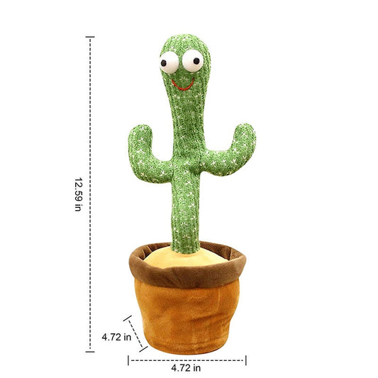 Baby Dancing Cactus